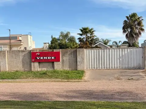 Triunvirato al 2100