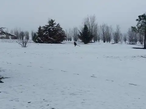 HACIENDAS EL TRAPICHE 100