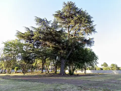 Terreno en Venta 23  mts Fondo