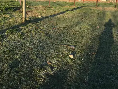 163 y 57 los hornos, la plata