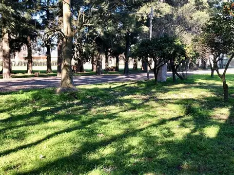 VENTA LOTE CAÑUELAS 800MTS2