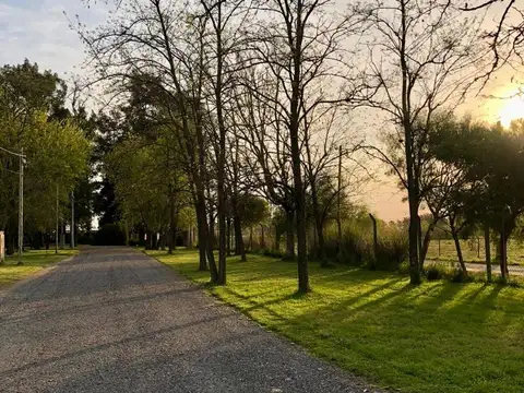 VENTA LOTE CAÑUELAS 800MTS2