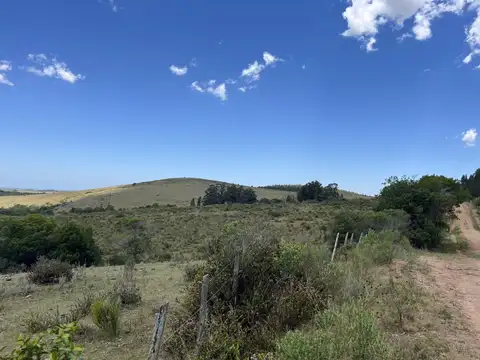 Campo en venta de 32ha ubicado en Garzon Abajo