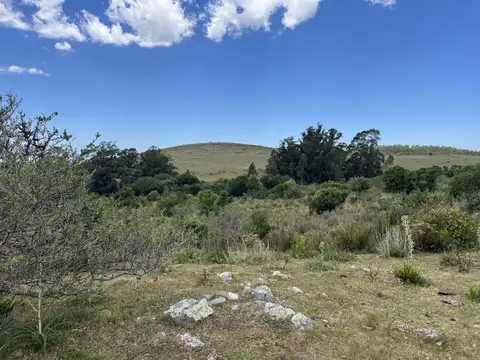 Chacra 32 hectáreas Garzón de