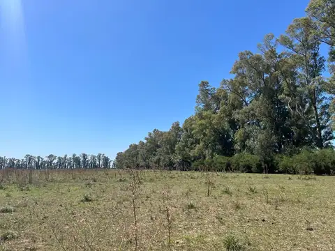 Terreno en Venta de 918,0 m2