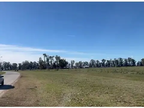 Plomer, Gral Las Heras