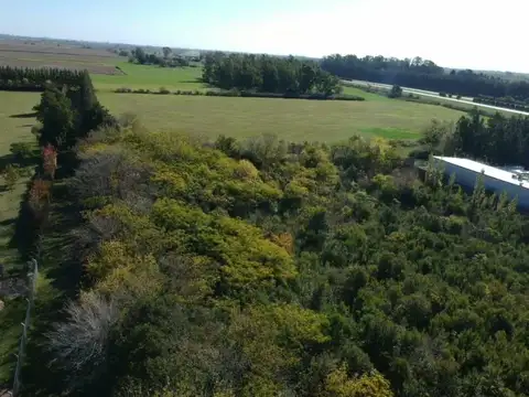 Autopista Córdoba - Rosario