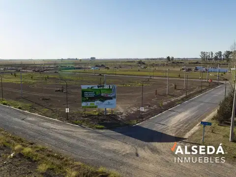 Los Pinos 4 - Alvarez