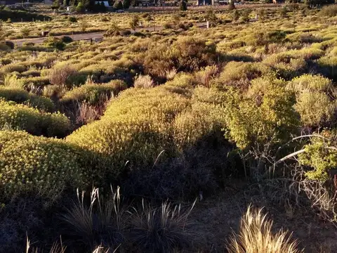 Barrancas de Dina Huapi