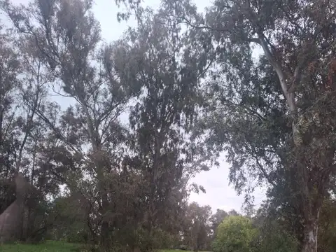 Terreno en Venta de 1600,0 m2