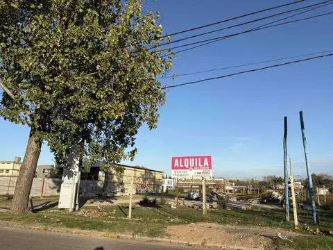Colectora Yaqueme 1300