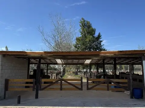 Terreno en Venta de 1000,0 m2