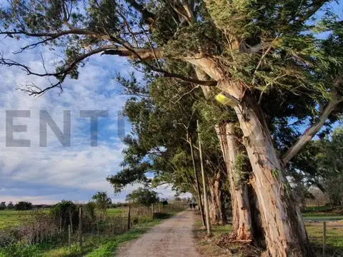 Terreno en Venta de 1197,0 m2