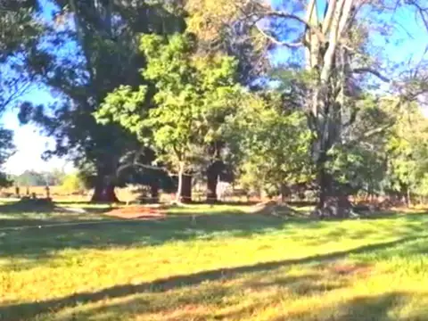 Venta, Terreno, Villa Elisa, Concordia, Entre Ríos