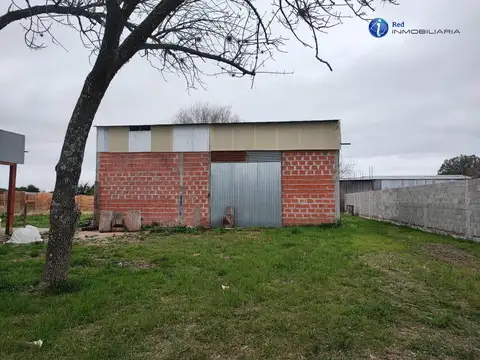 Natividad Martinez 2