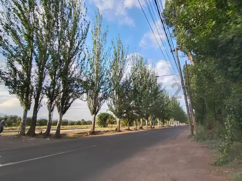 Chile 500, Piso 0