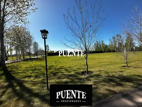 Terreno en Alejandro Petion con Escritura