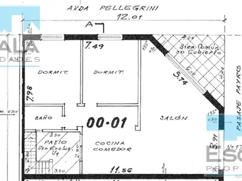 Pellegrini al 4600