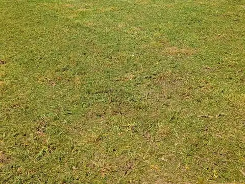 Terreno en Venta 40  mts Fondo