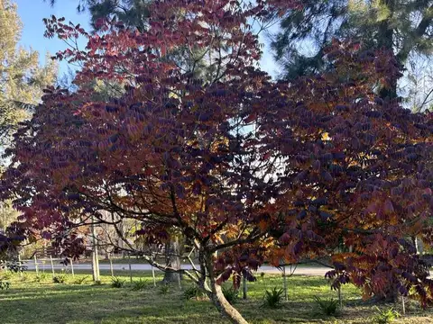 Terreno en Venta de 5283,0 m2