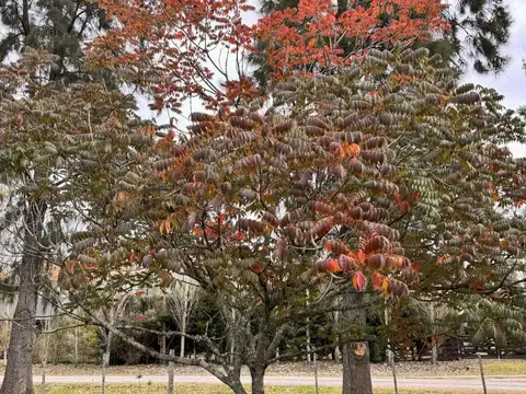 Terreno en Venta en Estancia Las Malvinas, USD 59.000