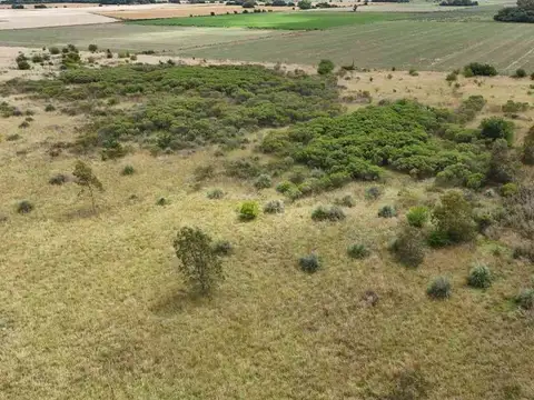 VENTA CAMPO DE 10 HECTARIAS LAGUNA DE LOBOS