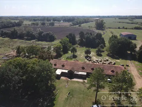 Campo en venta de 118 has - Sobre Ruta - en Exaltacion de la Cruz