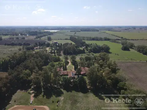 Campo en venta de 118 has  Parada de Robles. Exaltacion de la Cruz