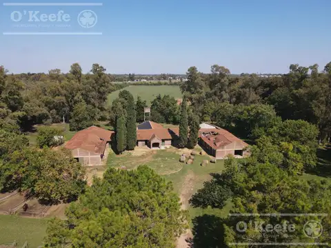Campo en venta de 118 has  Parada de Robles. Exaltacion de la Cruz