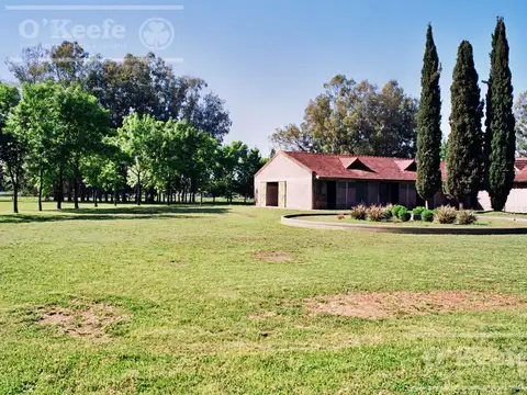 Campo en venta de 118 has  Parada de Robles. Exaltacion de la Cruz