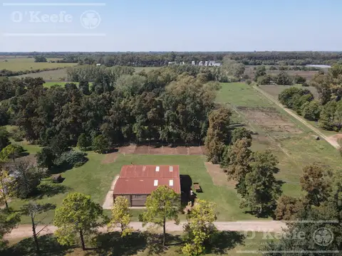 CAMPO AGRICOLA / HARAS SOBRE RUTA 8 - IDEAL DESARROLLO BARRIO CERRADO - 118 HAS EXALTACION DE LA CRUZ