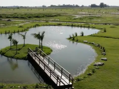 LOTE EN VENTA HARAS ANDREA VIRGINIA