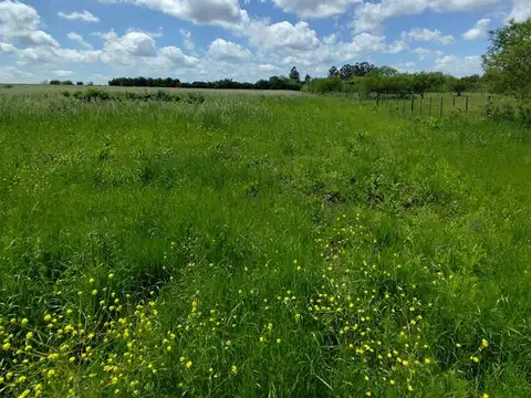Terreno en Venta en Villa San José, USD 70.000