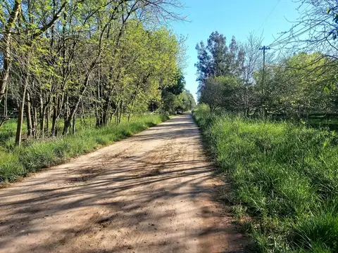 504 E/ 229 Y 231 TERRENO