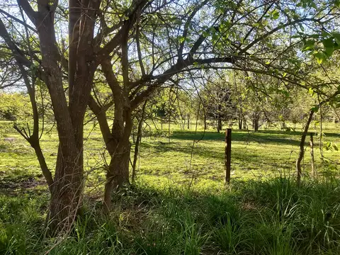 CAMPO EN ABASTO DE 10.427 MTS 2 TOTALES EN ABASTO: