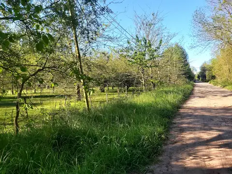 Campo en Venta de 1  ha