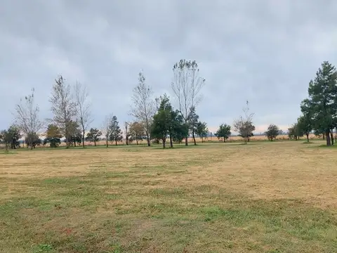 La Rinconada