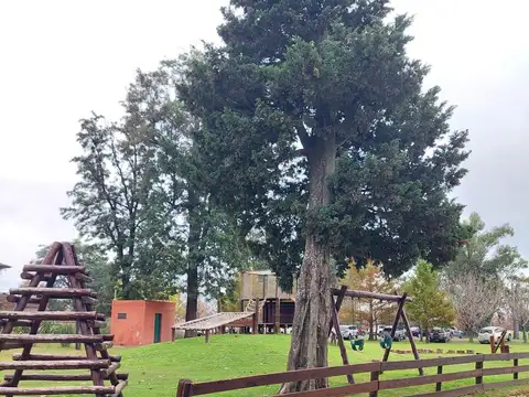 Terreno en Venta en Ibarlucea, USD 75.000