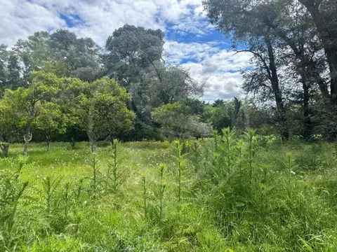 Terreno en Venta de 6500,0 m2