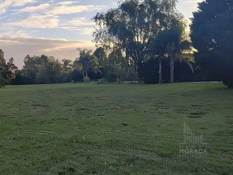 Rio Hondo al 500