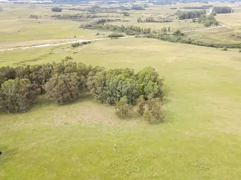 Quinta en Venta en José Ignacio, USD 6.000.000