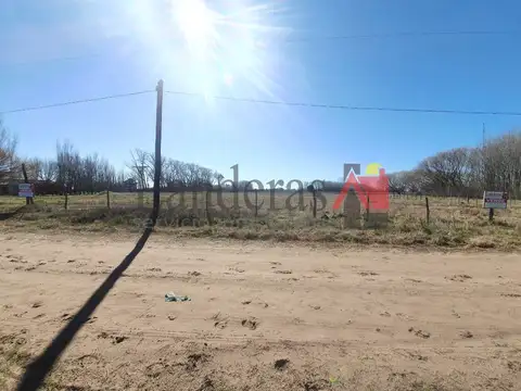 Lobo de mar/ pejerrey 100