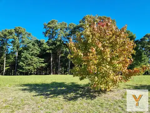 Terreno en Venta de 1621,0 m2