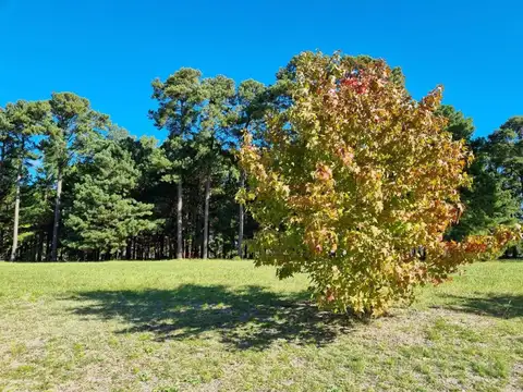 Terreno en Venta de 1621,0 m2