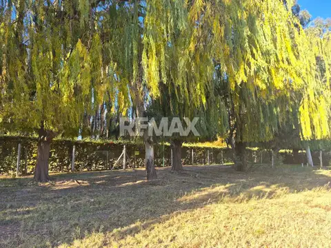 Terreno en Venta de 736,0 m2