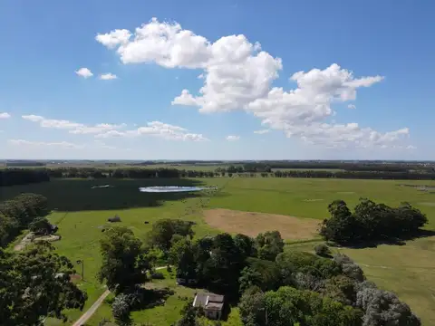 VENTA DE CAMPO AGRÍCOLA GANADERO EN VENTA ROCHA