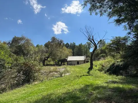 Ruta Provincial S271 100