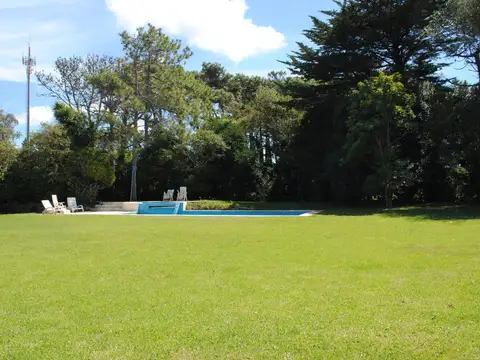 Las Margaritas 100