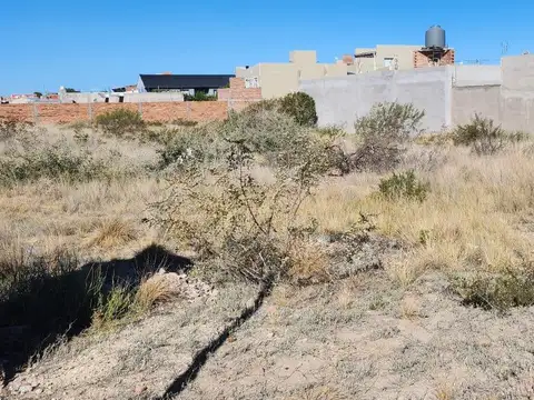 Ramos Mexia  y C.Buyayisky Antonio Las Grutas