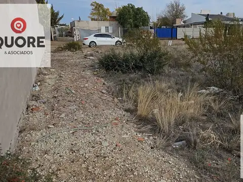 Terreno en Venta 50  mts Fondo